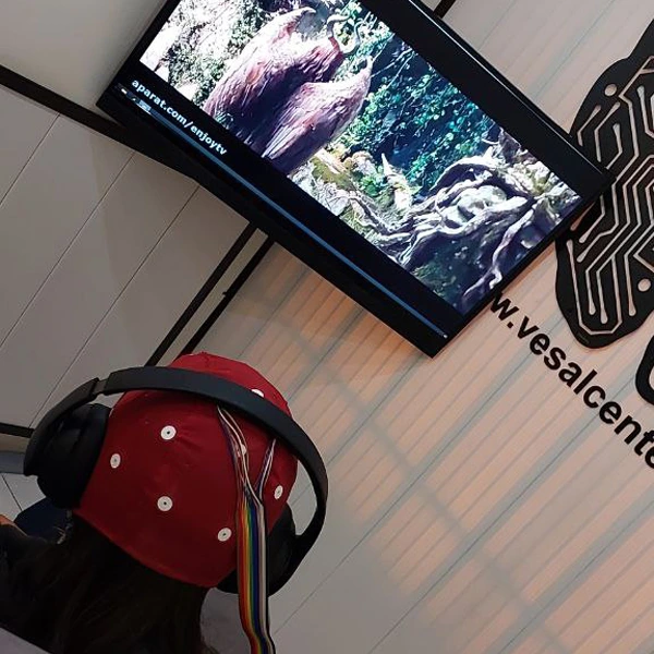 همه چیز درباره لورتا نوروفیدبک